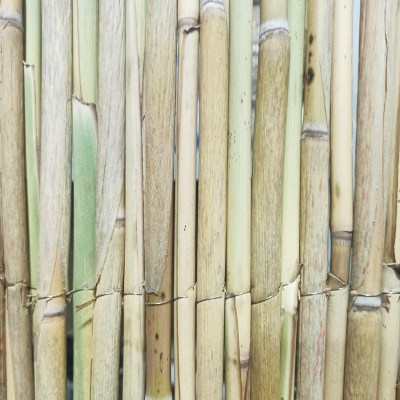 Камышовый забор рулонный 1х3м. 